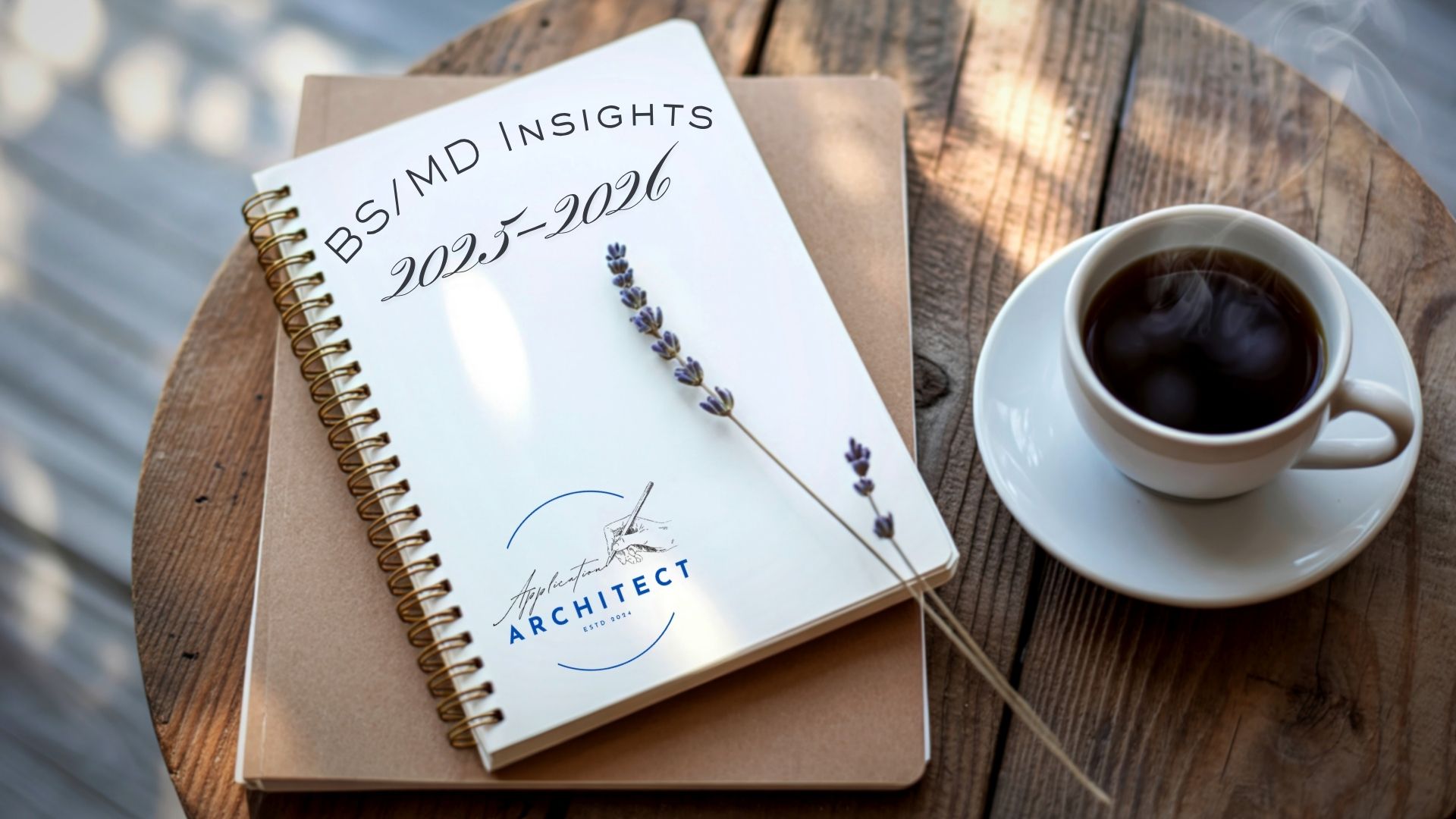 What I Learned From The 2025-2026 BS/MD Application Cycle